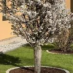 Kaiserhof Feldberg アパート *