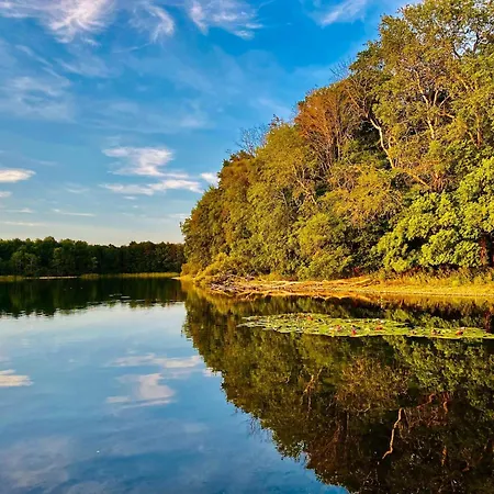 Lägenhet Kaiserhof Feldberg Feldberger Seenlandschaft